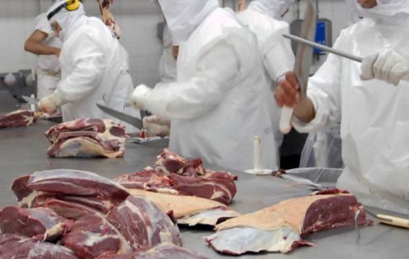 Desposte y preparación de cortes de carne vacuna en planta