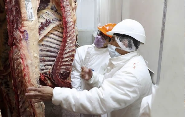Trabajo en planta del frigorífico con control de calidad e inocuidad